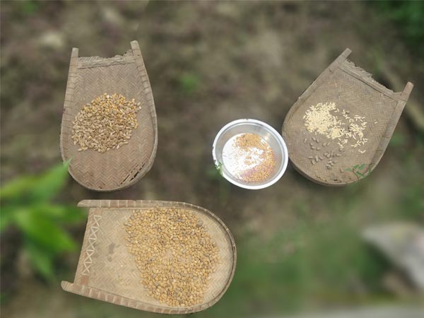 SATOYAMA Agriculture Conservation Activity through Establishing Community-Based Seed Bank in the Sundarbans Coastal Region of Bangladesh