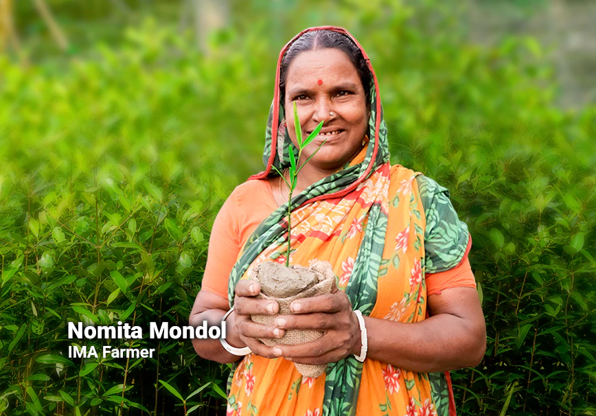 Empowering Coastal Women for Mangrove Restoration and Livelihoods