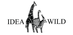 IDEA WILD Logo